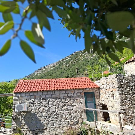 Cottage Melita The Apartment For Animal Lovers Babino Polje Buitenkant foto