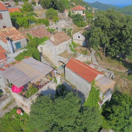Cottage Melita The Apartment For Animal Lovers Babino Polje Buitenkant foto
