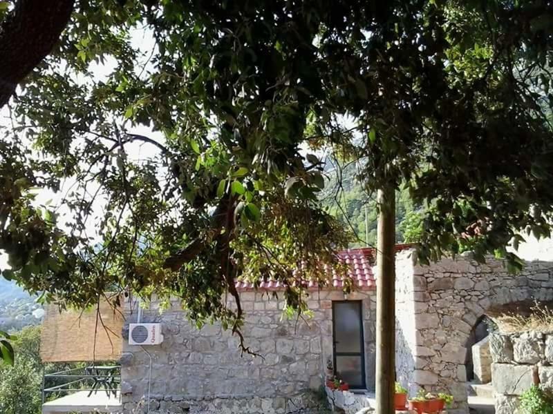Cottage Melita The Apartment For Animal Lovers Babino Polje Buitenkant foto