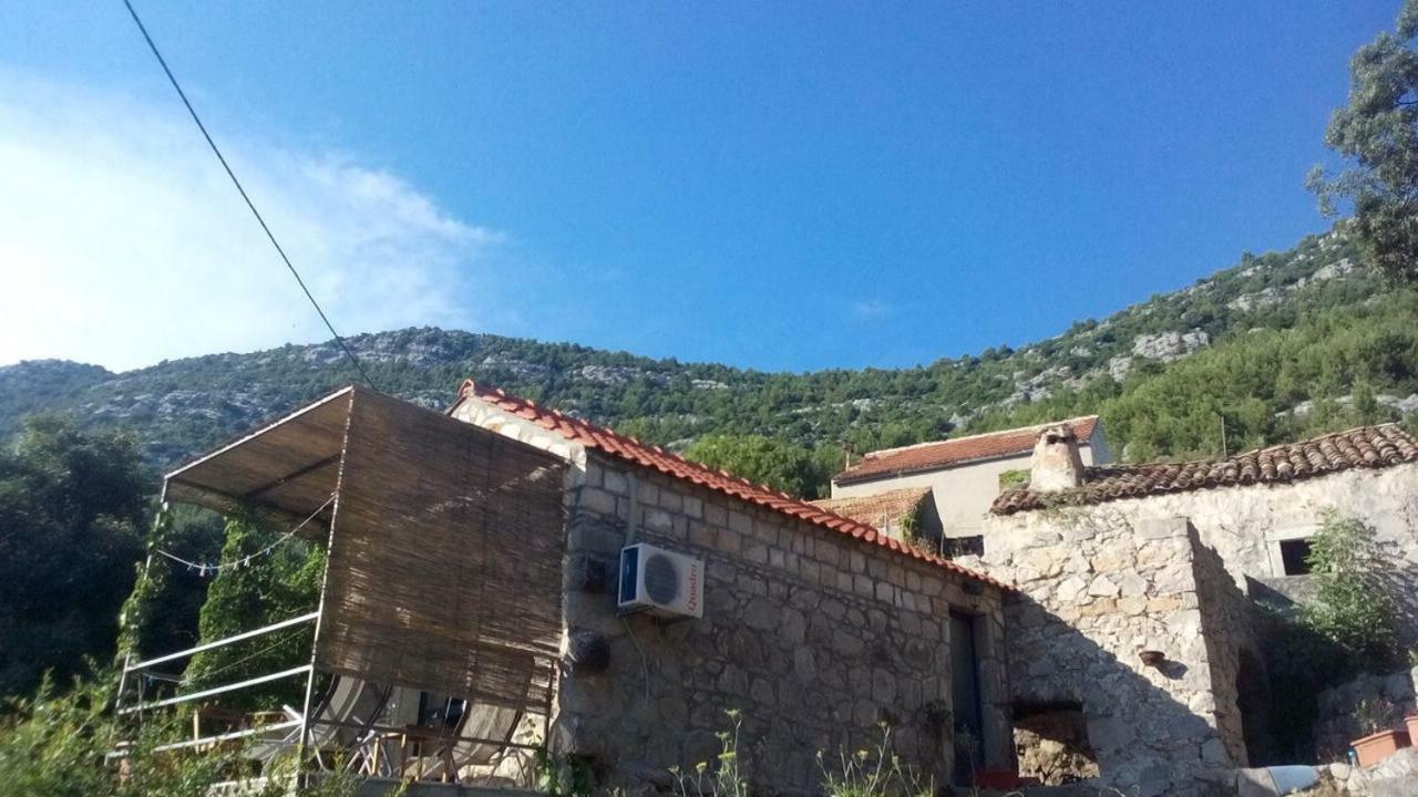 Cottage Melita The Apartment For Animal Lovers Babino Polje Buitenkant foto