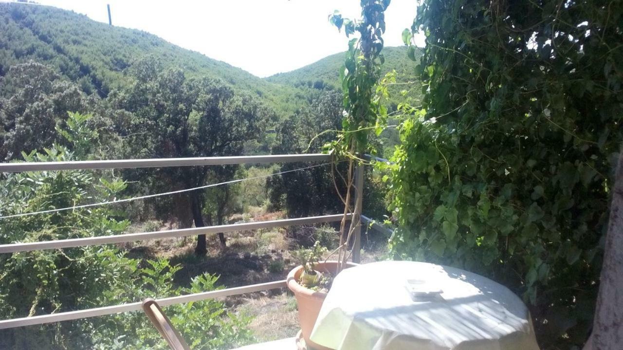 Cottage Melita The Apartment For Animal Lovers Babino Polje Buitenkant foto