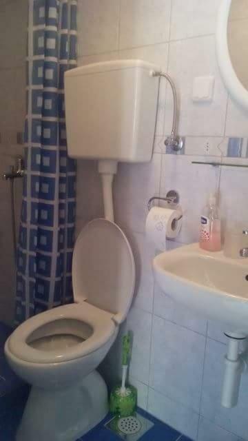 Cottage Melita The Apartment For Animal Lovers Babino Polje Buitenkant foto