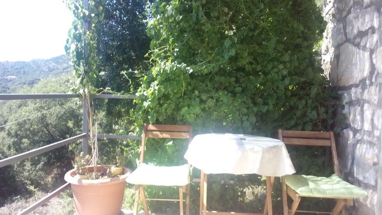 Cottage Melita The Apartment For Animal Lovers Babino Polje Buitenkant foto