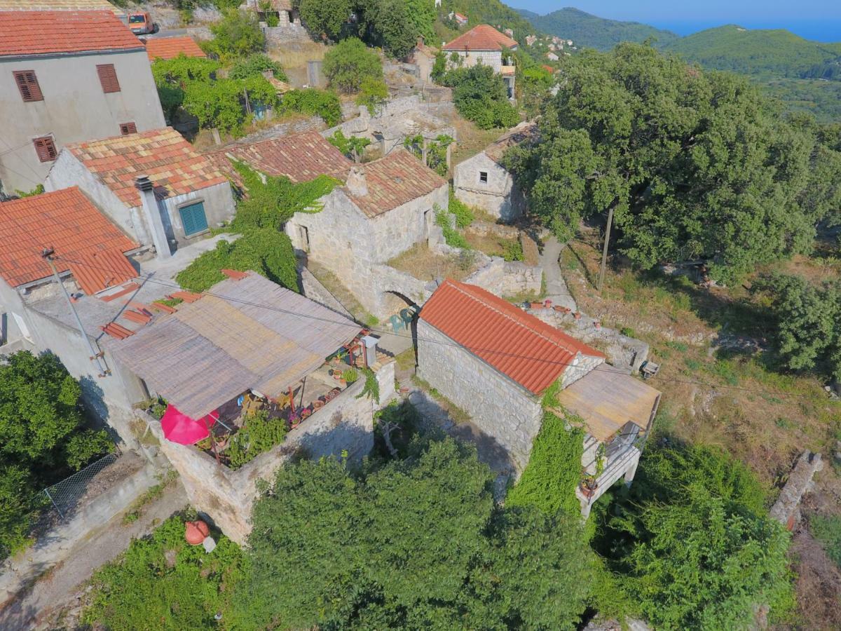 Cottage Melita The Apartment For Animal Lovers Babino Polje Buitenkant foto