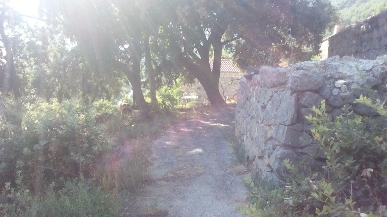 Cottage Melita The Apartment For Animal Lovers Babino Polje Buitenkant foto