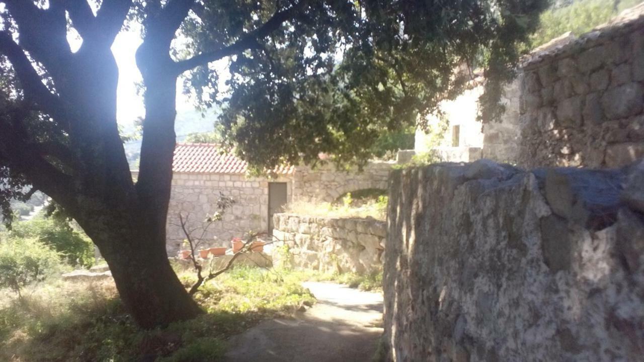 Cottage Melita The Apartment For Animal Lovers Babino Polje Buitenkant foto