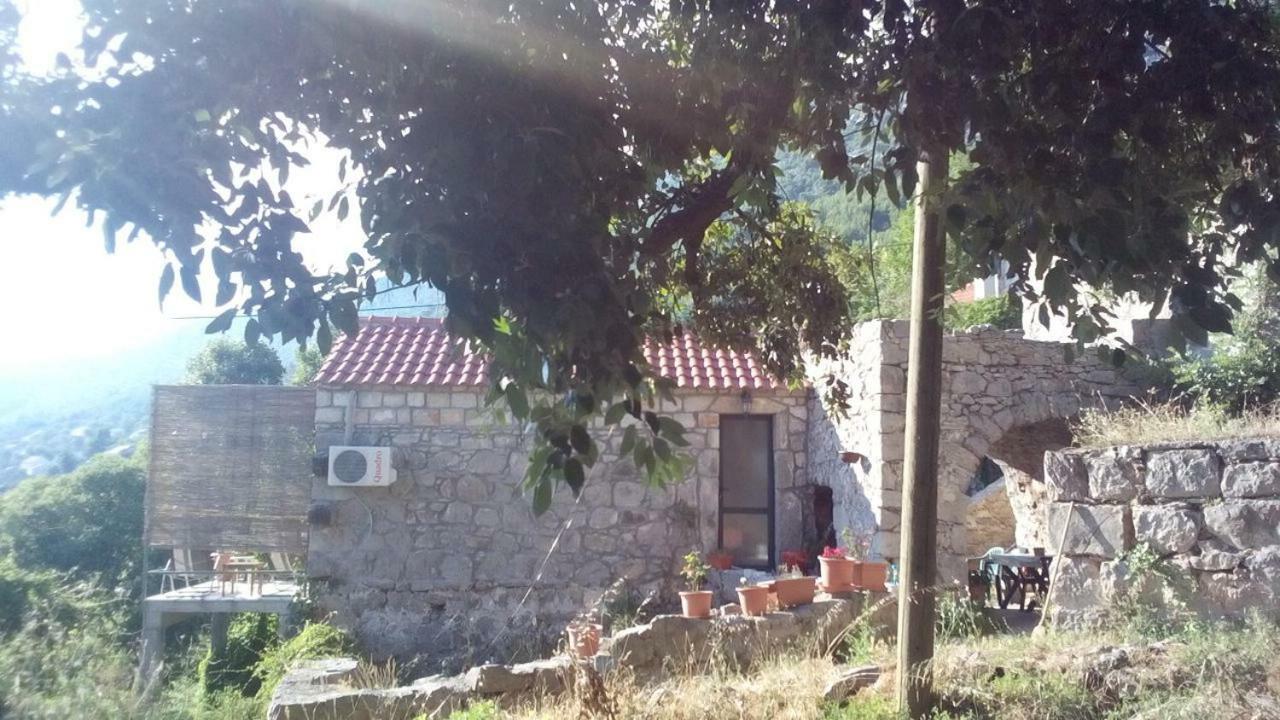Cottage Melita The Apartment For Animal Lovers Babino Polje Buitenkant foto
