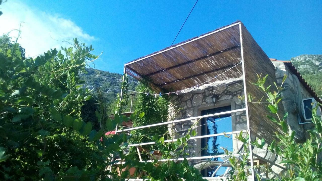 Cottage Melita The Apartment For Animal Lovers Babino Polje Buitenkant foto