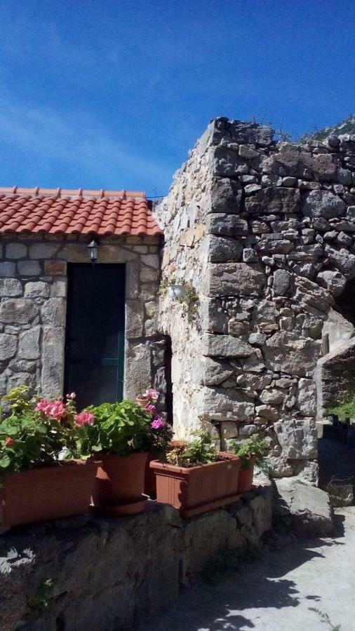 Cottage Melita The Apartment For Animal Lovers Babino Polje Buitenkant foto