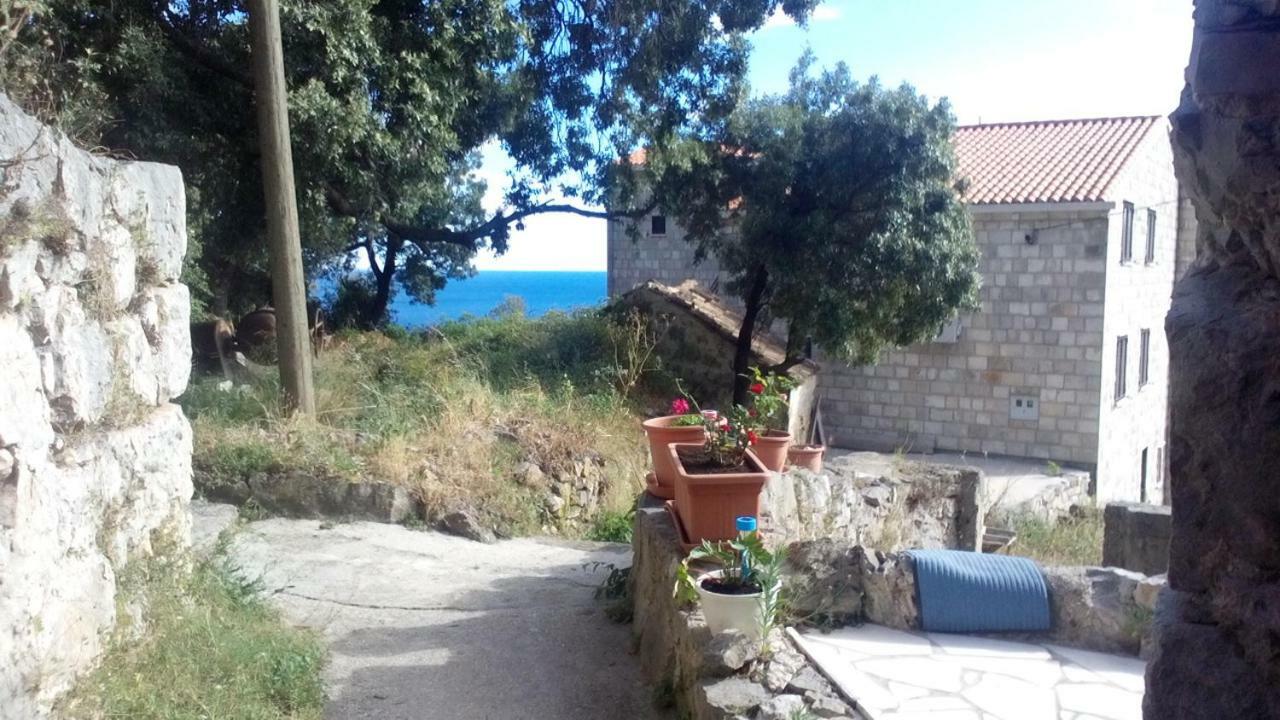 Cottage Melita The Apartment For Animal Lovers Babino Polje Buitenkant foto