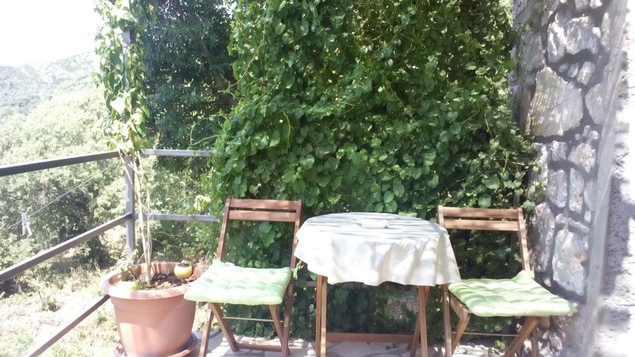 Cottage Melita The Apartment For Animal Lovers Babino Polje Buitenkant foto