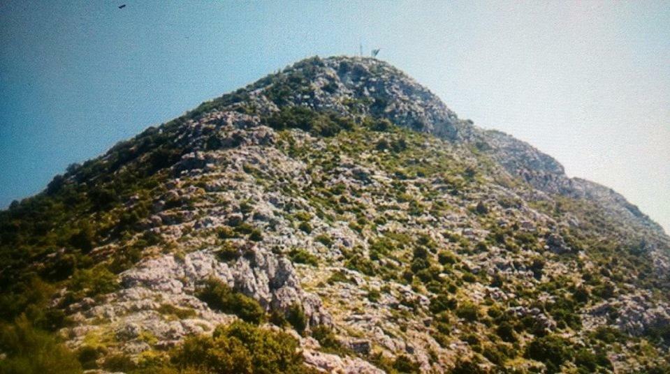 Cottage Melita The Apartment For Animal Lovers Babino Polje Buitenkant foto