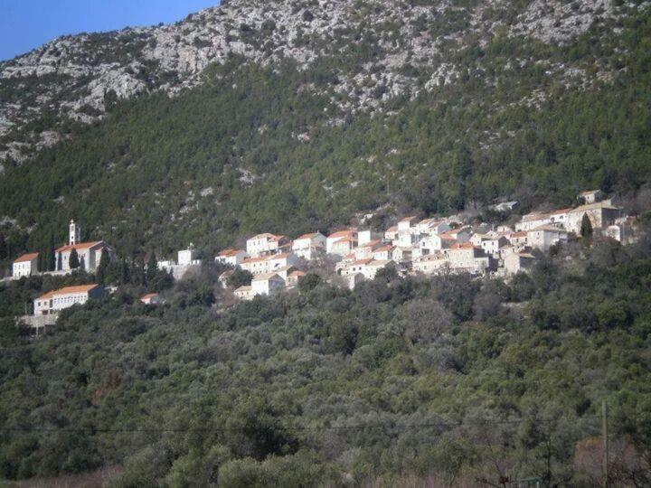 Cottage Melita The Apartment For Animal Lovers Babino Polje Buitenkant foto