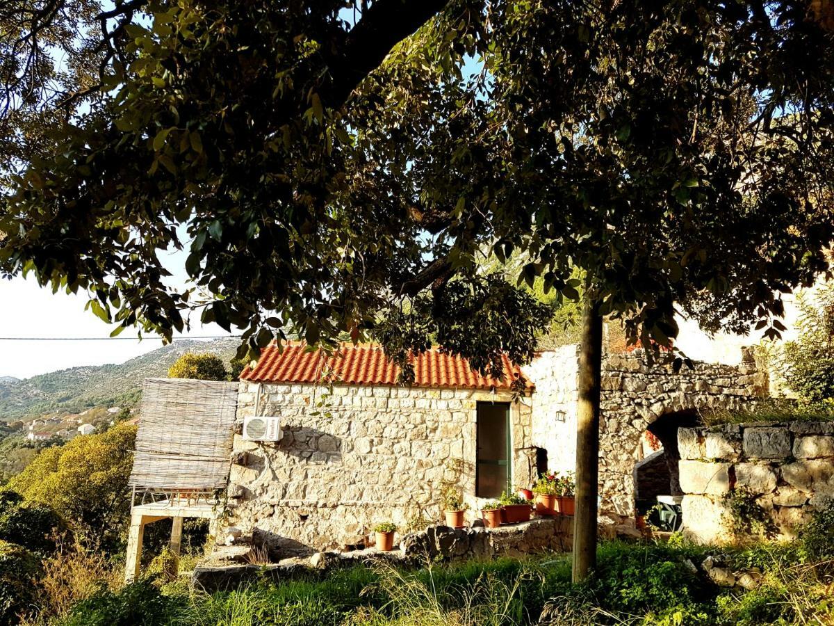 Cottage Melita The Apartment For Animal Lovers Babino Polje Buitenkant foto